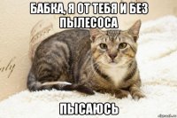 бабка, я от тебя и без пылесоса пысаюсь