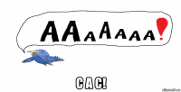 с а с!