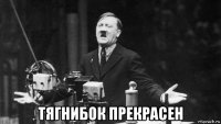  тягнибок прекрасен