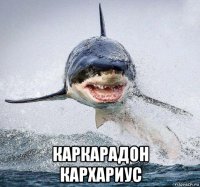  каркарадон кархариус