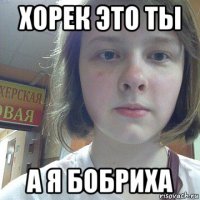 хорек это ты а я бобриха