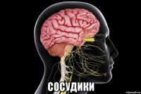  сосудики