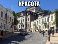 красота 