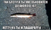 смешная картинка, смешной комикс, прикол