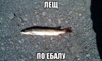 лещ по ебалу