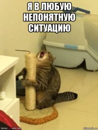 я в любую непонятную ситуацию 