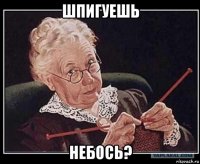 шпигуешь небось?