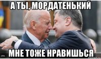а ты, мордатенький мне тоже нравишься