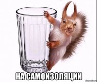  на самоизоляции