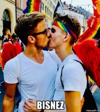  bisnez