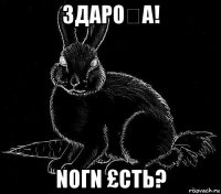 3даро₩a! nогn £сть?