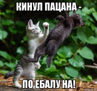 кинул пацана - по ебалу на!