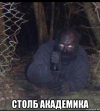  столб академика