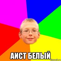  аист белый