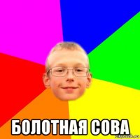  болотная сова