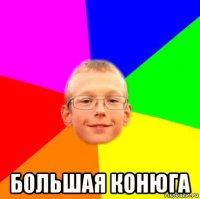  большая конюга