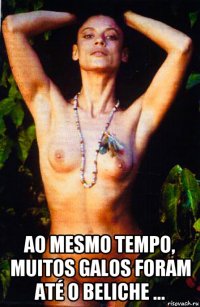  ao mesmo tempo, muitos galos foram até o beliche ...