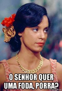  o senhor quer uma foda, porra?
