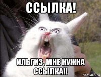 ссылка! ильгиз, мне нужна ссылка!!