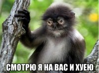  смотрю я на вас и хуею