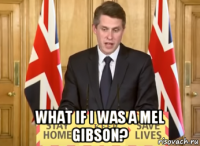 what if i was a mel gibson?