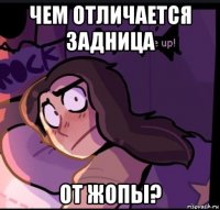 чем отличается задница от жопы?