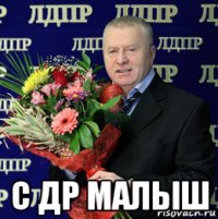  с др малыш