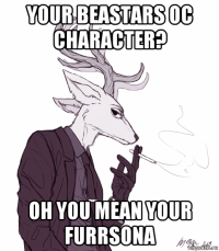 your beastars oc character? oh you mean your furrsona