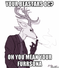 your beastars oc? oh you mean your furrsona