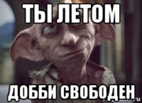 ты летом добби свободен