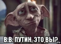  в.в. путин, это вы?