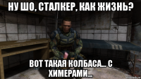 ну шо, сталкер, как жизнь? вот такая колбаса... с химерами...