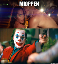 мюррей 