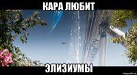 кара любит элизиумы