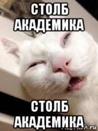 столб академика столб академика