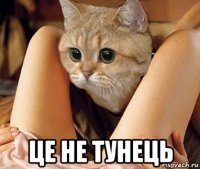  це не тунець