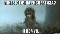 лінгвістична експертиза? ні не чув.
