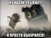 ну нахуй! тебя нет! я просто обкурился!