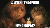 держи грибочки! мухоморы?