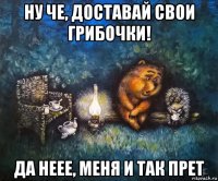 ну че, доставай свои грибочки! да неее, меня и так прет