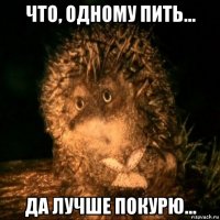 что, одному пить... да лучше покурю...
