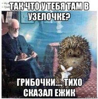 так что у тебя там в узелочке? грибочки..., тихо сказал ежик