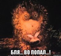 бля... во попал...!