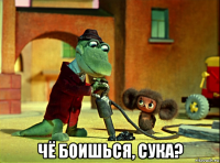  чё боишься, сука?