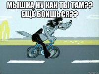 мышка ну как ты там?? ещё боишься?? 