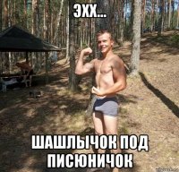 эхх... шашлычок под писюничок