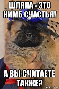 шляпа - это нимб счастья! а вы считаете также?