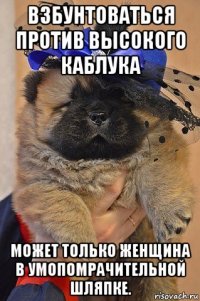 взбунтоваться против высокого каблука может только женщина в умопомрачительной шляпке.