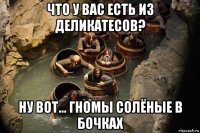 что у вас есть из деликатесов? ну вот... гномы солёные в бочках