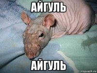 айгуль айгуль
